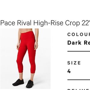 Pace rival crop 22” Dark Red